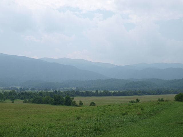 Elkmont Fireflies