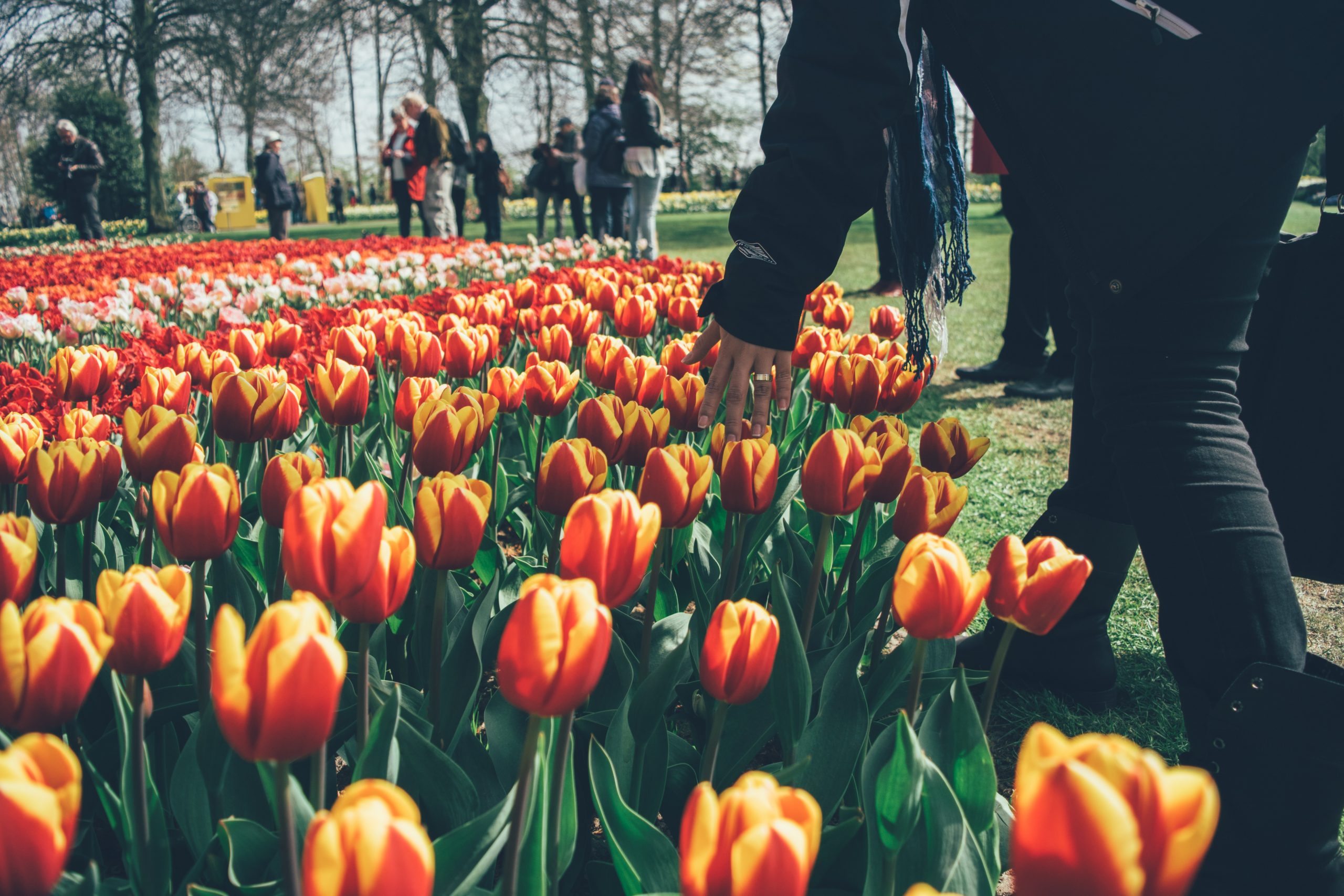 Places To Visit In the Netherlands