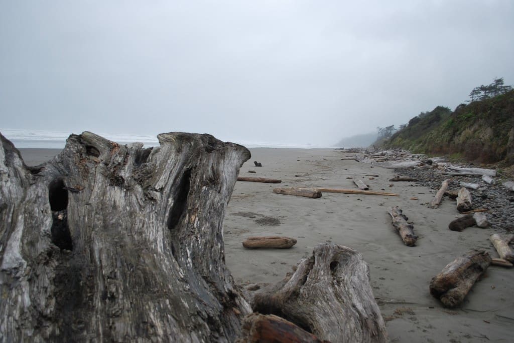 olympic coastline, pacific northwest