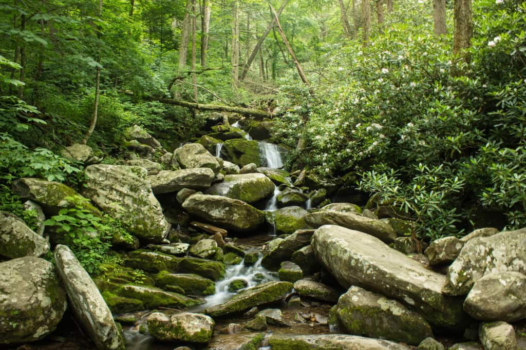 road trip smoky mountains blue ridge parkway gatlinburg roaring fork motor trail