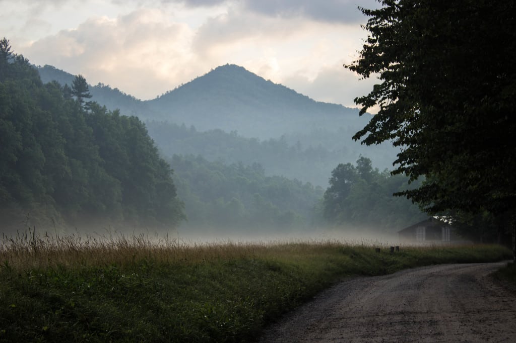 ROAD TRIP FROM THE SMOKY MOUNTAINS UP THE BLUE RIDGE PARKWAY : PART TWO