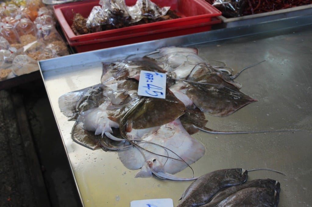 maeklong train market bangkok