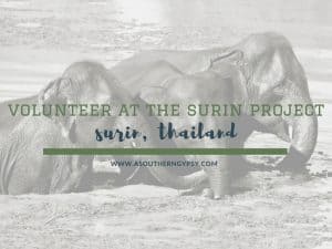 Read more about the article 7 Reasons to Volunteer at The Surin Project