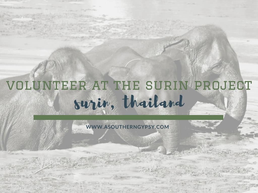 You are currently viewing 7 Reasons to Volunteer at The Surin Project