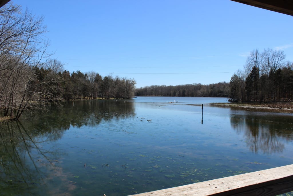 Bledsoe Creek