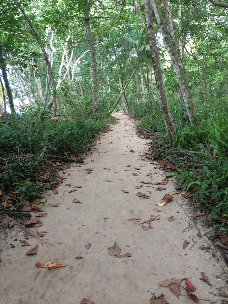 Cahuita National Park | Costa Rica