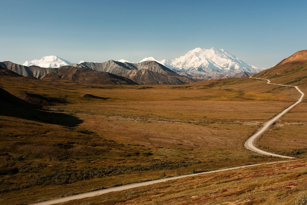 denali national park