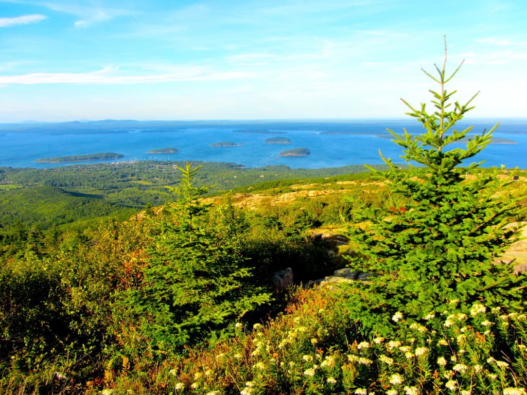 Acadia National Park 