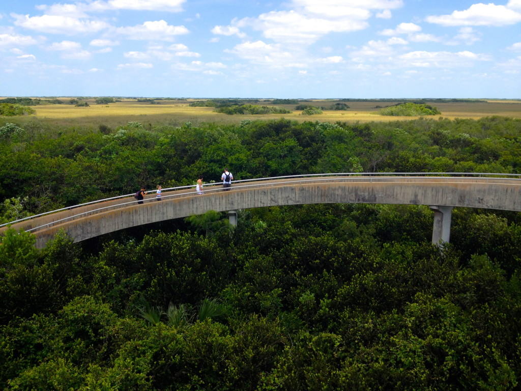 Everglades National Park