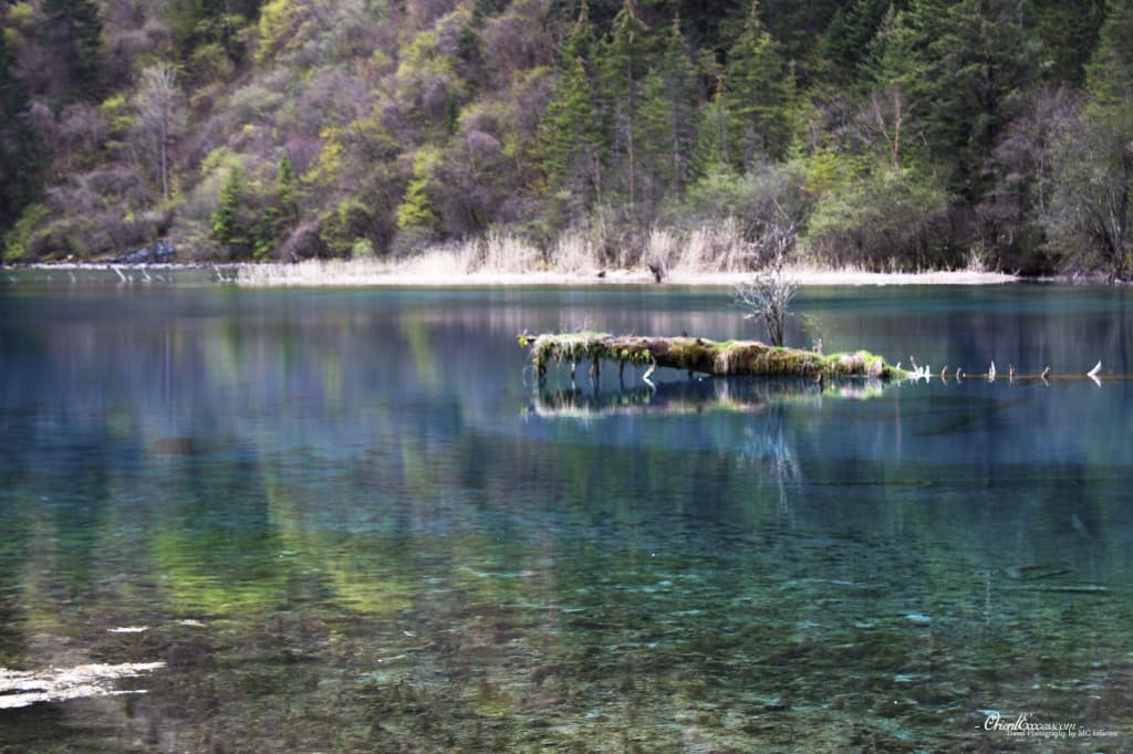 Jiuzhaigou National Park | Sichuan | China