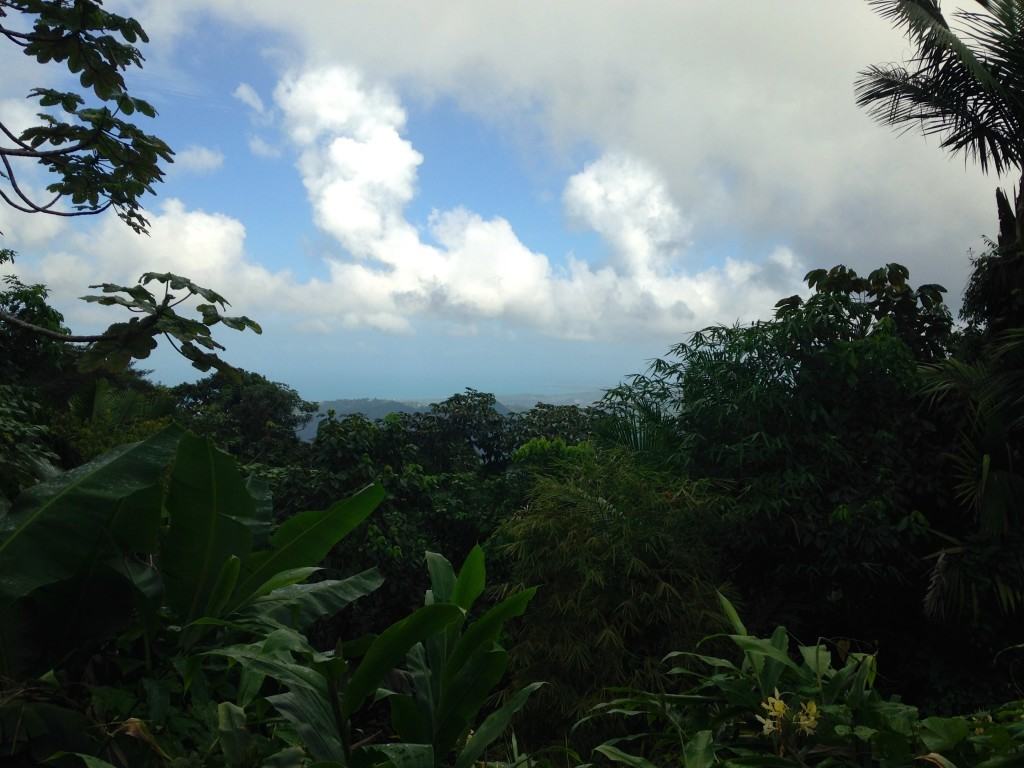 Outdoors in Puerto Rico