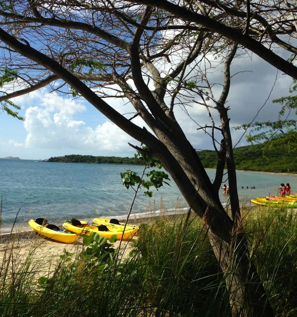 Outdoors in Puerto Rico