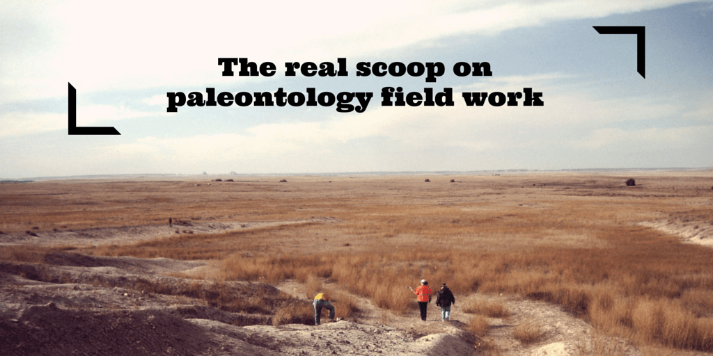 PALEONTOLOGY, ARCHAEOLOGY AND TRAVEL -WHERE'S THE CONNECTION?