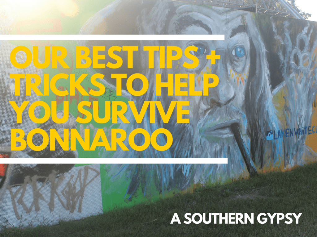 Our Best Tips + Tricks to Help You Survive Bonnaroo