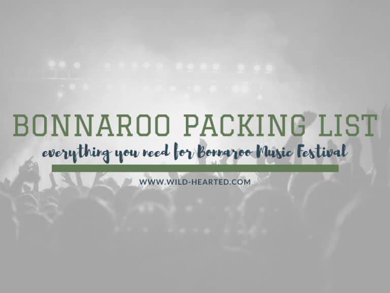 Read more about the article Bonnnaroo Packing List: Everything You Need