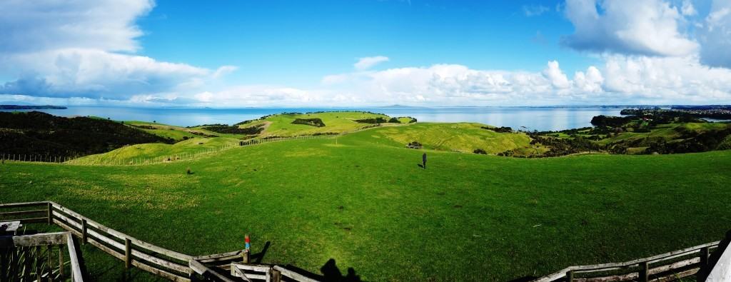 Shakespear Regional Park