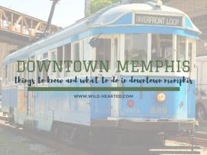 Read more about the article Things to Do in Downtown Memphis