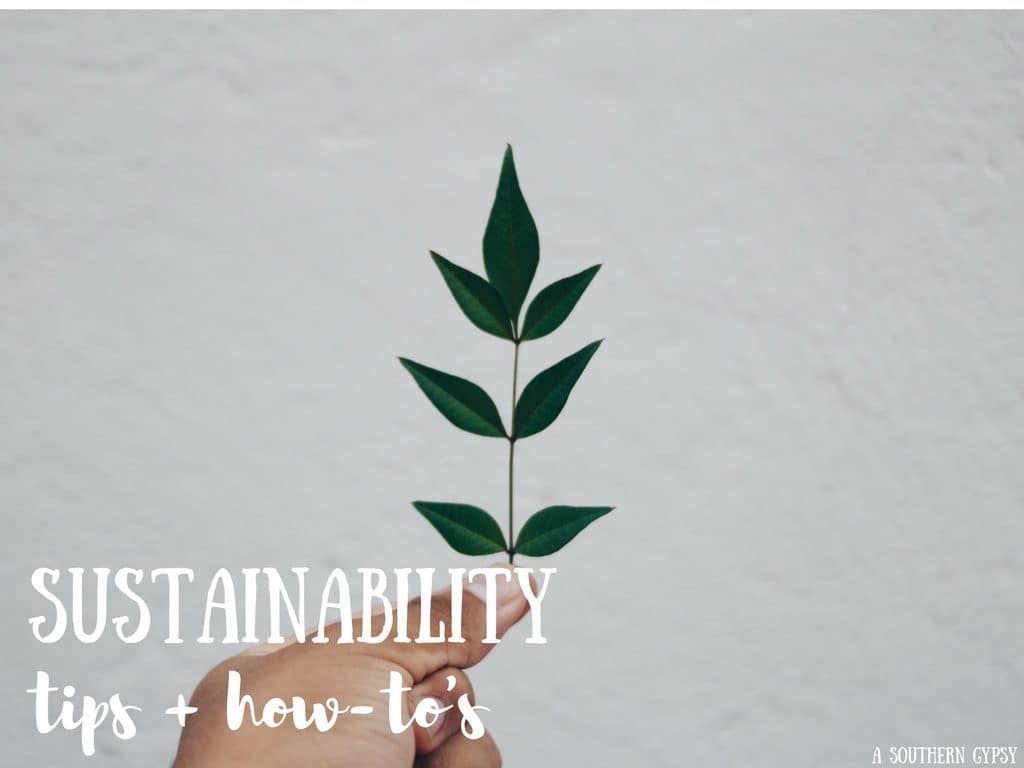 SUSTAINABILITY