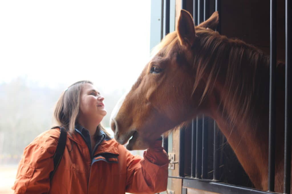 visit gentle barn