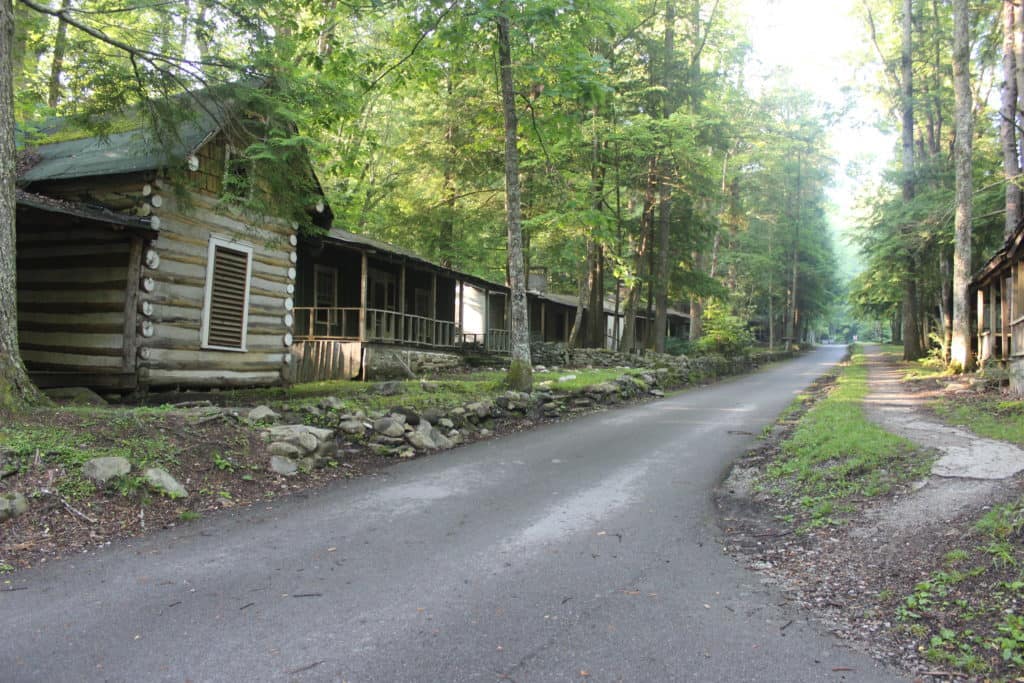 Elkmont Fireflies