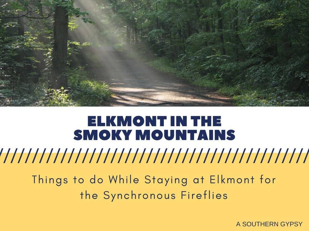 Elkmont Fireflies