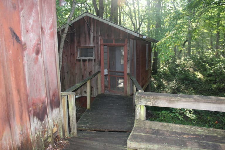 Elkmont TN Ghost Town's Sad History & Why You Need to Visit!