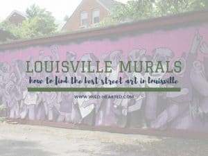 Read more about the article Guide to Finding the Best Street Art in Louisville, Kentucky