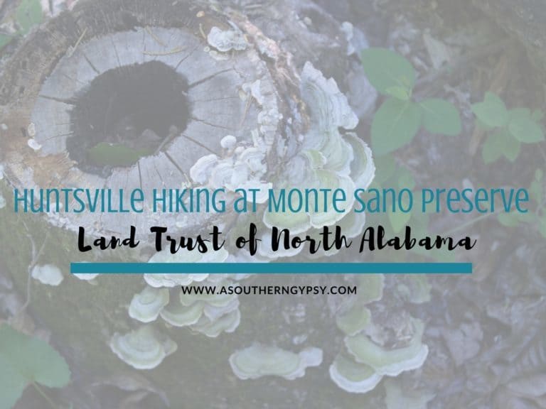 Read more about the article Hiking in Huntsville at Monte Sano Nature Preserve