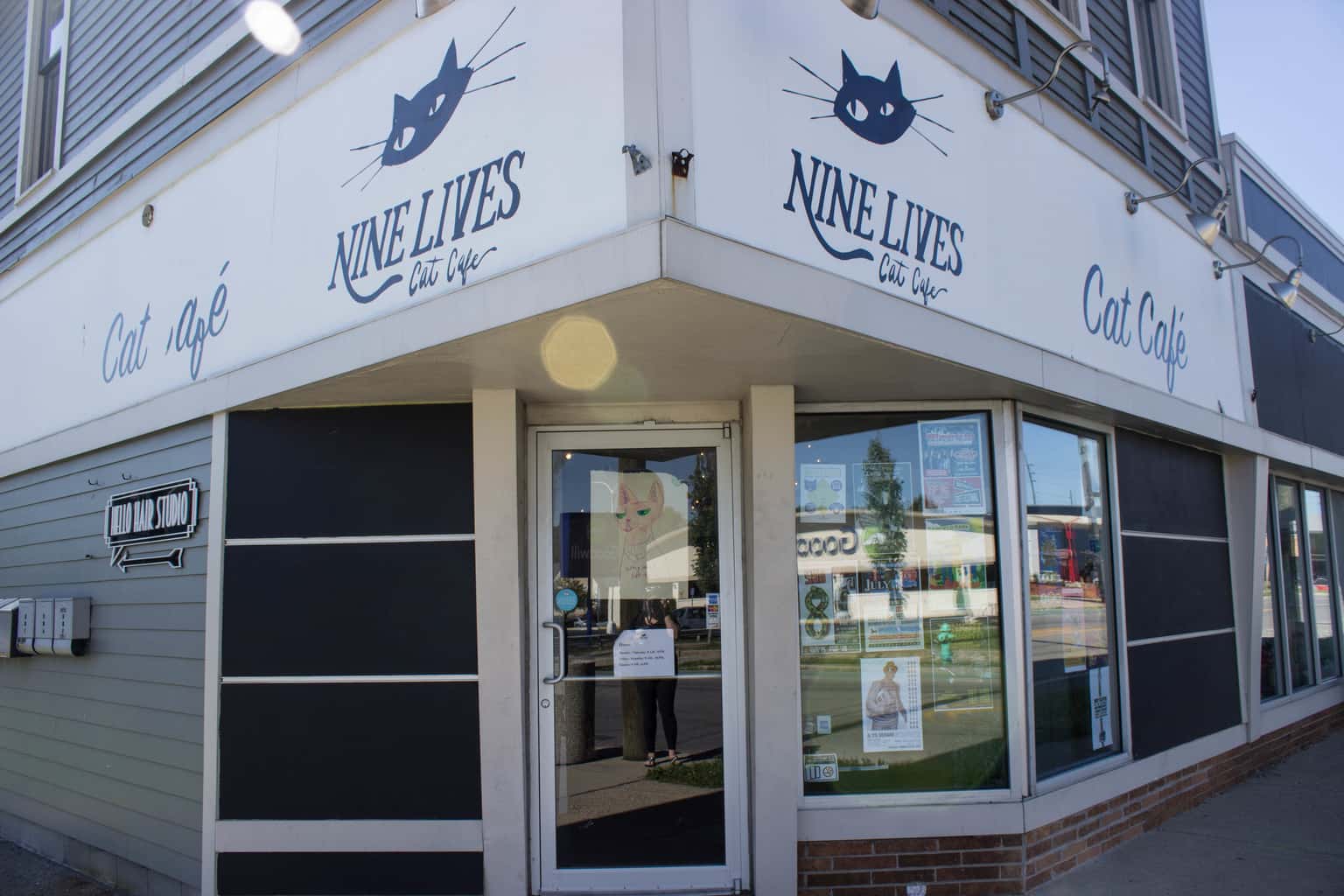 NINE LIVES CAT CAFE 