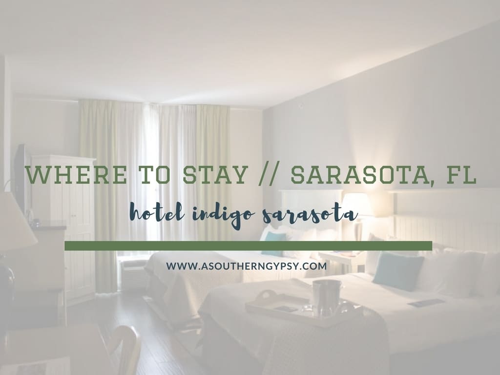 You are currently viewing Where to Stay in Sarasota, Florida // Hotel Indigo Sarasota
