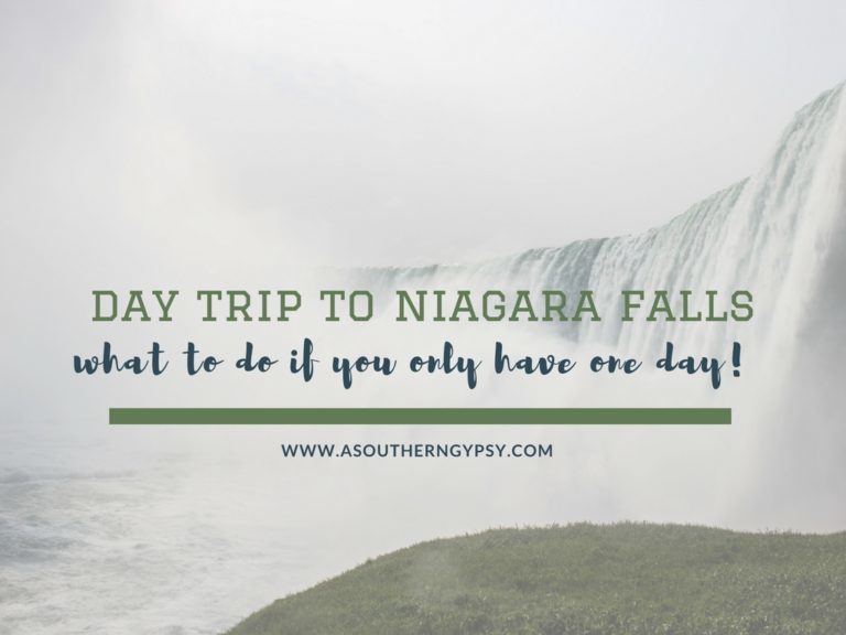 Read more about the article Day Trip to Niagara Falls