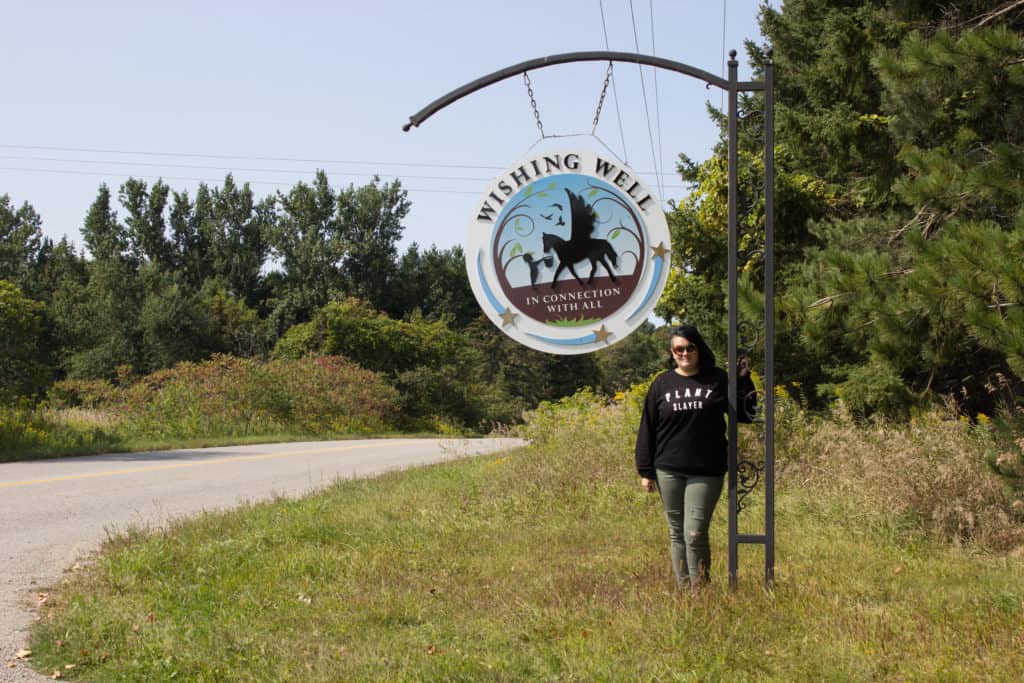 FARM SANCTUARY NEAR TORONTO