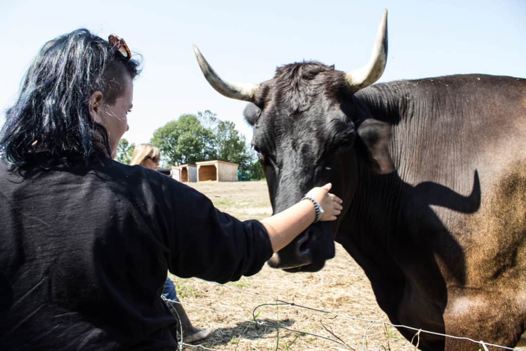 FARM SANCTUARY NEAR TORONTO