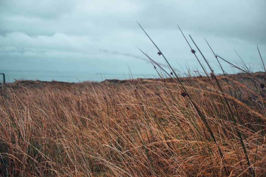 donegal to galway