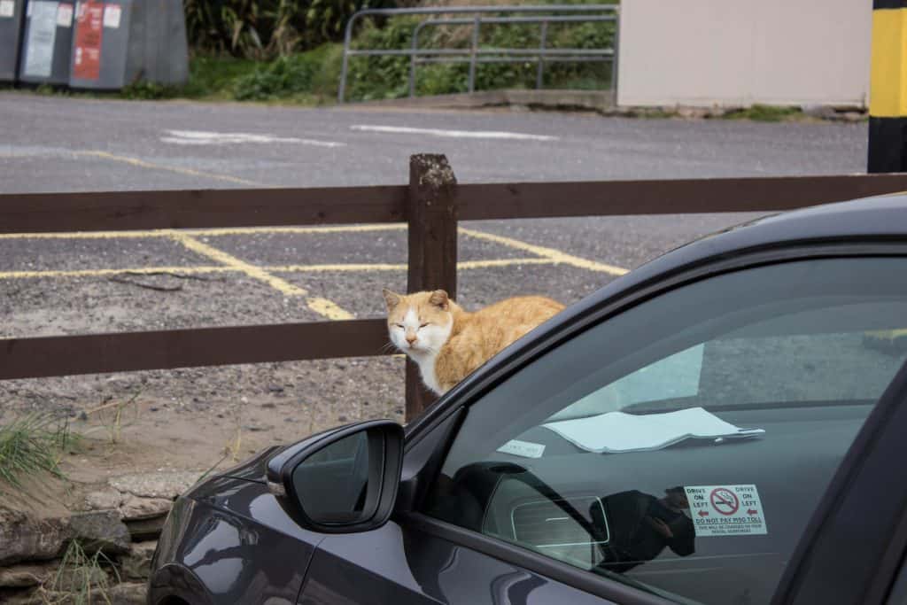 ROAD TRIP IRELAND