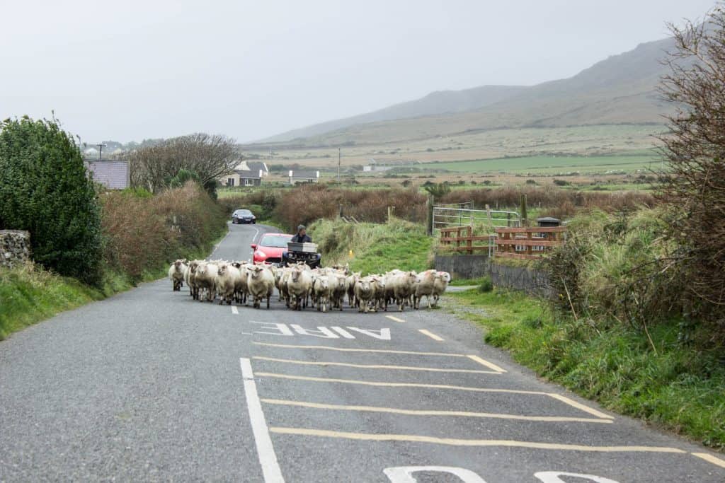 ROAD TRIP IRELAND