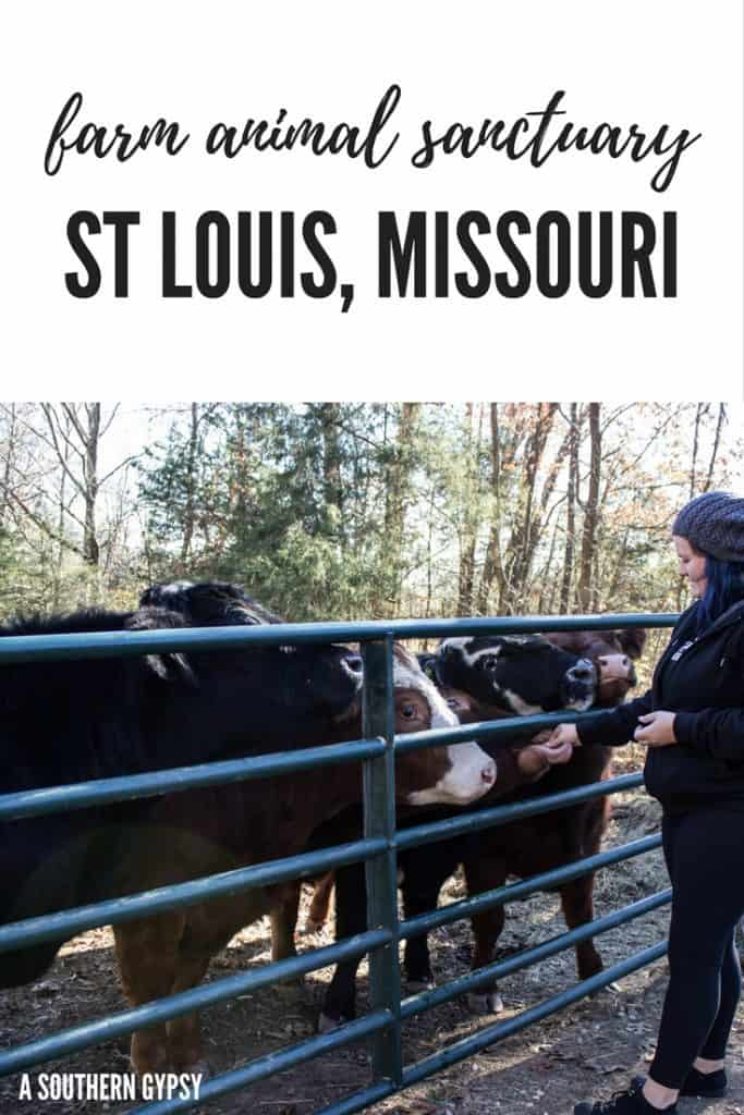 animal sanctuary missouri