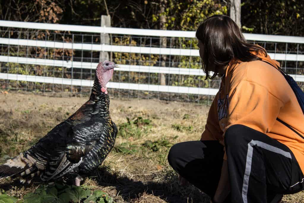 animal sanctuary missouri