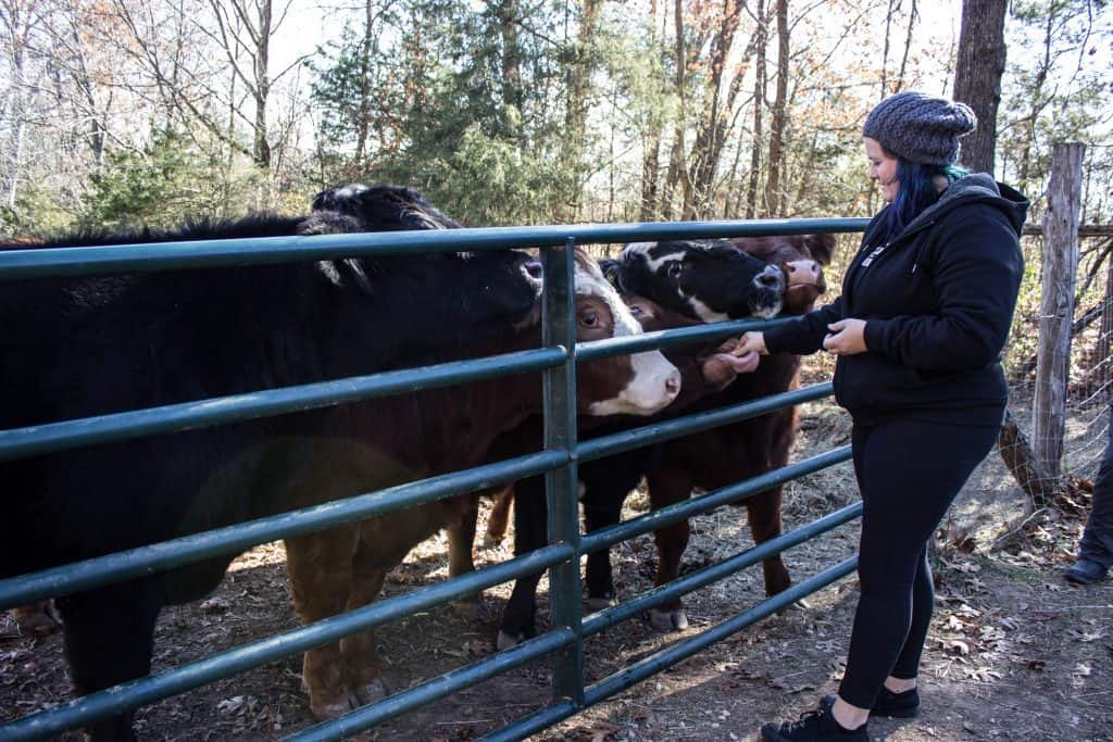 animal sanctuary missouri