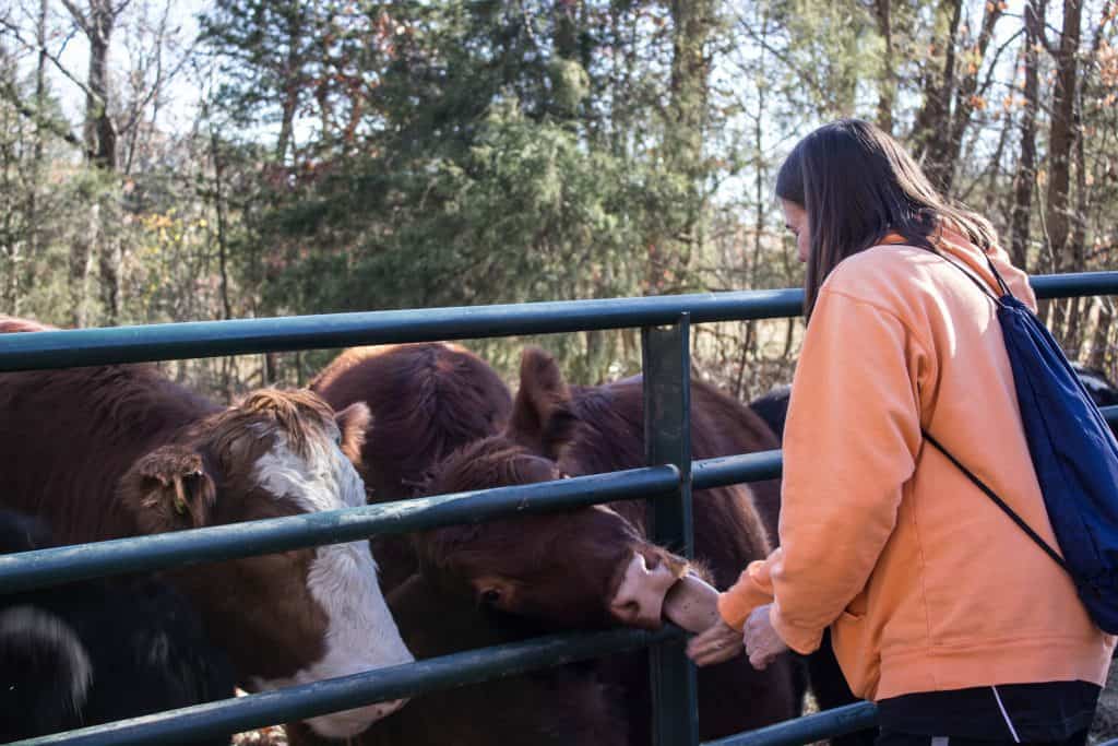 animal sanctuary missouri