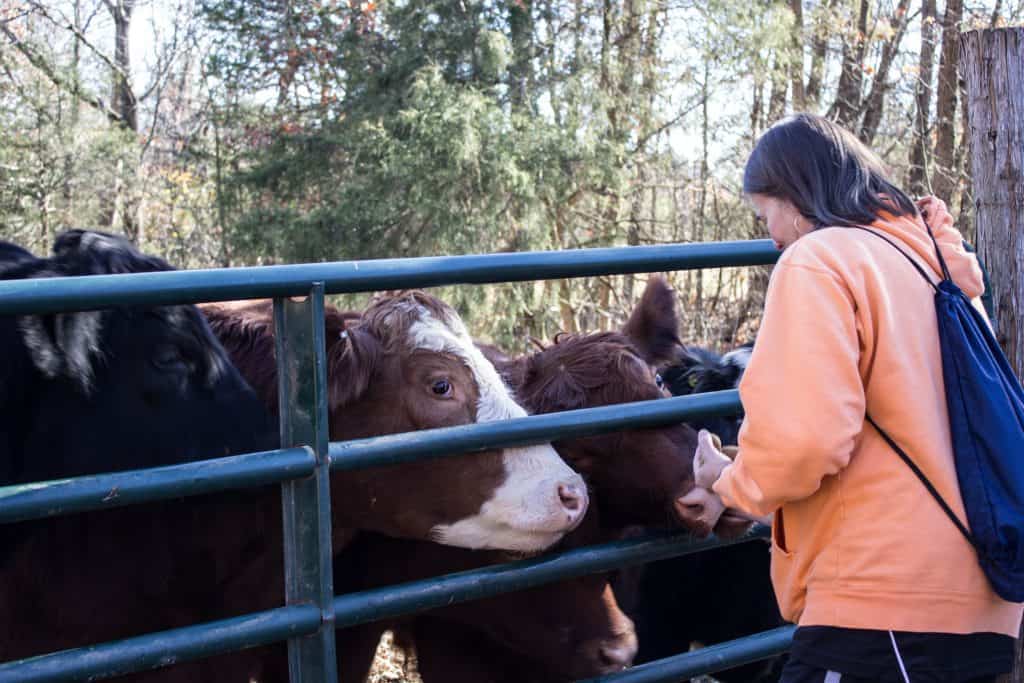 animal sanctuary missouri