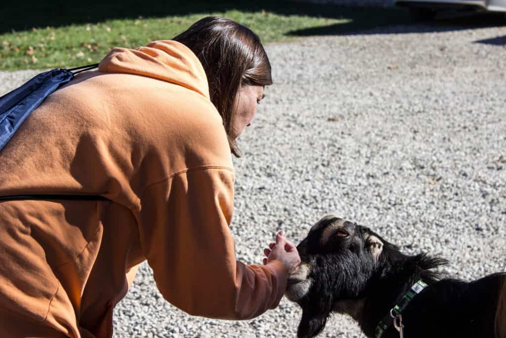 animal sanctuary missouri