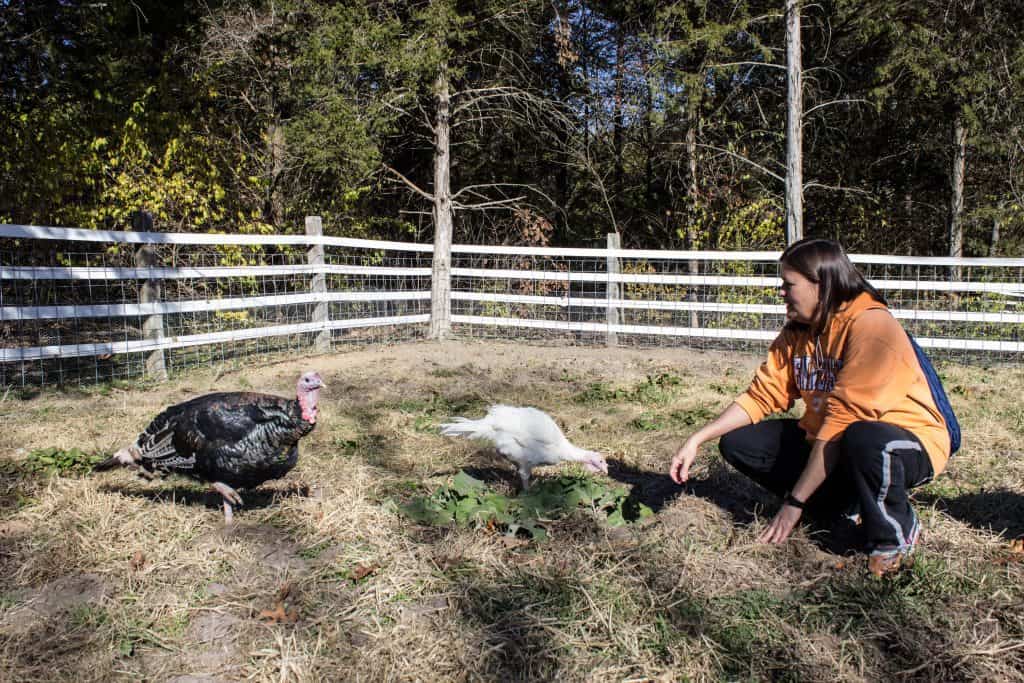 animal sanctuary missouri