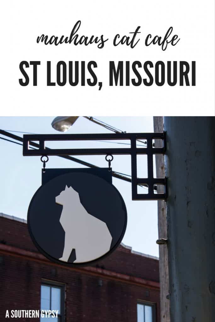 cat cafe st louis