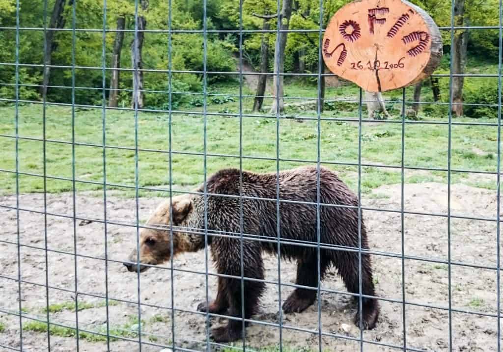 best animal sanctuaries
