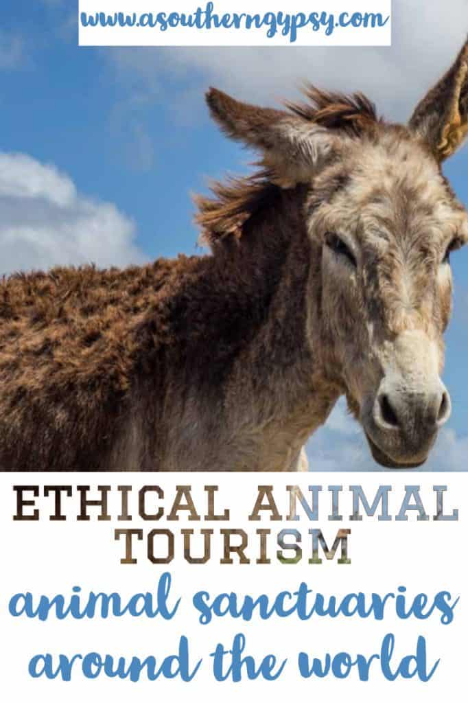 best animal sanctuaries