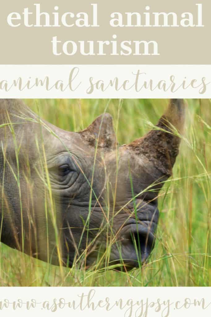 best animal sanctuaries