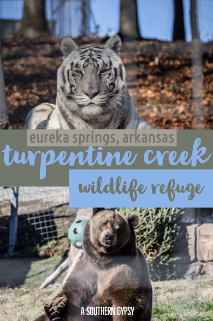 TURPENTINE CREEK WILDLIFE REFUGE