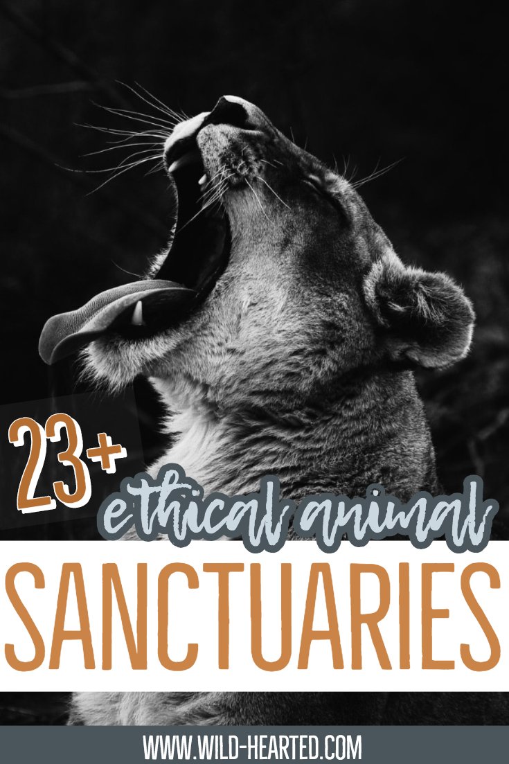 best animal sanctuaries