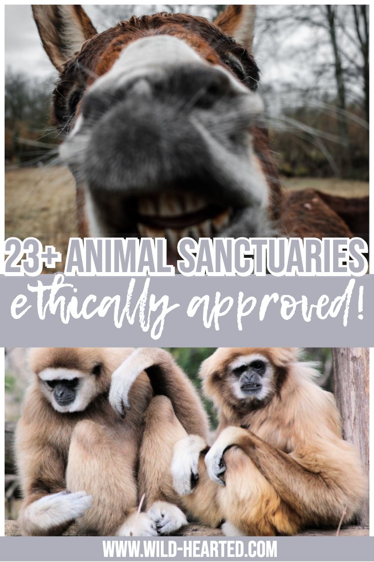 best animal sanctuaries